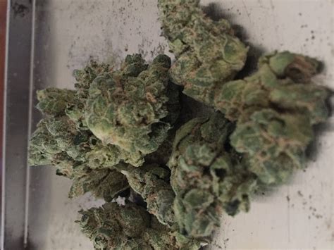 og kush allbud